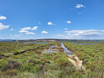 49/ Le grand Castelou : promenade naturaliste