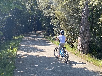 Road Track : Les Baies
