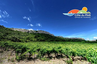 Route des Vins de La Clape
