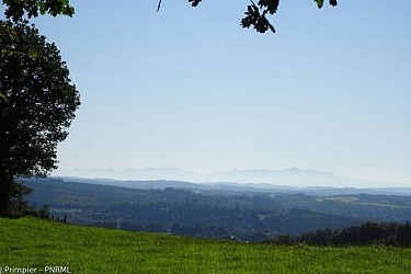 Between Vienna and Diège