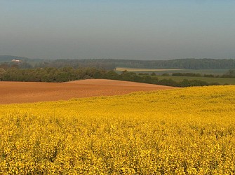 Boucle de la chambre aux loups