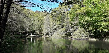 Sentier de la Demoiselle