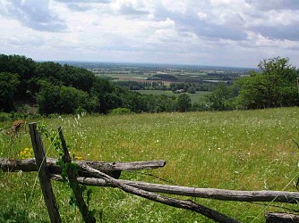Les coteaux d'Ardus - PR1 Lamothe-Capdeville
