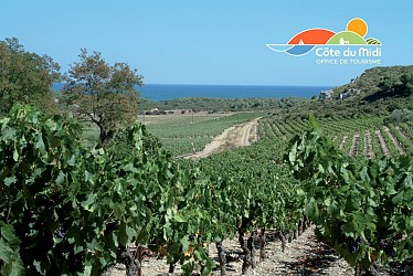 Route des Vins des Coteaux de Narbonne