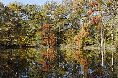 Sentier de la Mare aux Evées - Accessible PMR