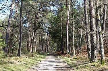 Parcours Fontainebleau - Barbizon (PNR)