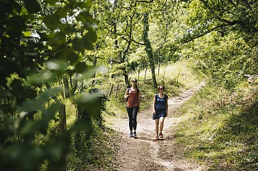 La boucle du Fau - PR5 Montauban