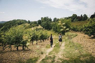 Les vallons du Fau - PR6 Montauban