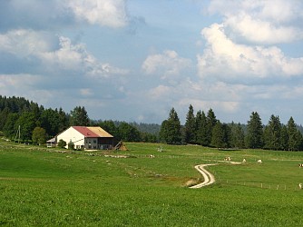 Circuit n°3 - Le Sentier des Bornes