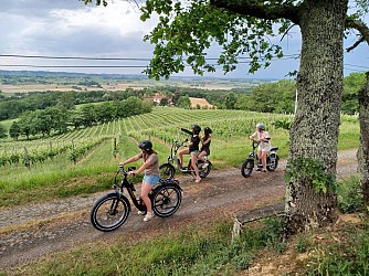 Au fil des crêtes en Vae au Domaine du Moulié