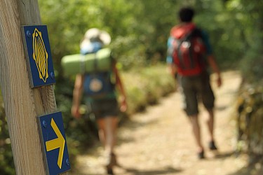 Chemin de Saint-Jacques, voie de Rocamadour en Limousin et Haut-Quercy