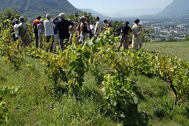 Chemin de la Poterne des Vignes