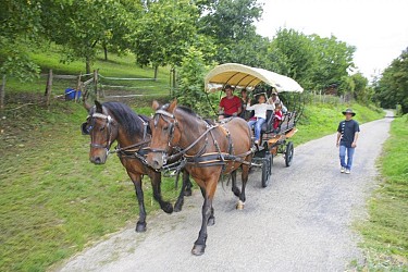 Sur les pas des grands personnages