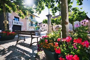 Cruseilles - Les Dronières circular trail