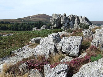 Le chemin des Monts d'Arrée