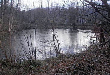Lissieu - Rando douce - Du Bois Dieu à Limonest