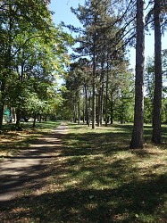 Décines - De parcs en jardins - De Décines à Parilly