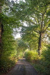 Autour du Bois de la Salle -VTT