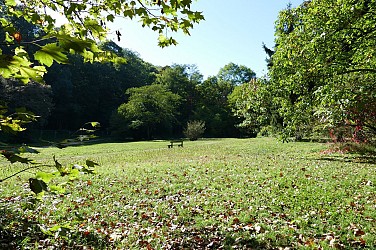Sainte-Foy-les-Lyon – Rando santé - De Sainte-Foy-les-Lyon à Oullins par l'Yzeron