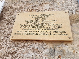 Sentier Jean-Marie Pelt - Boucle familiale