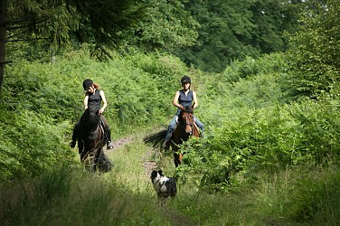 Trace équestre de Luxeuil-les-Bains / La Rosière - Vosges du sud