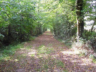 Brière et Moulins
