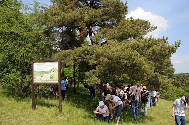 image du circuit