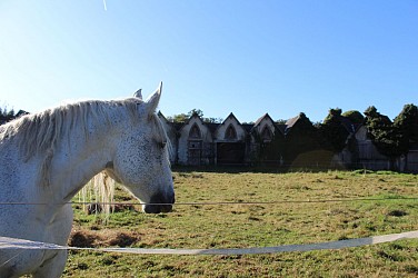 Sur les pas d'Innocent VI