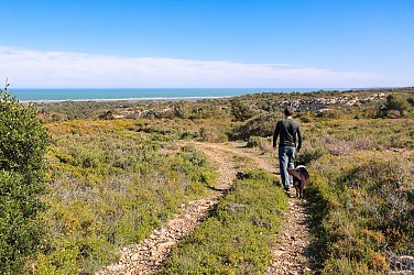 74 / Port la nouvelle : la combe redonde