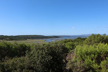 31 / Gruissan : La Capoulade