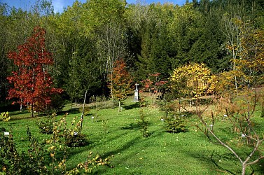 Boucle cyclable n°11 du Mont Vaulot (32 km) - Vosges du sud