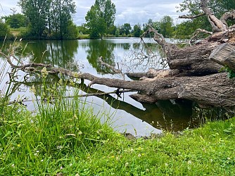 SUR LA ROUTE DES LACS DE LAMARTINE ET PAUCHEVILLE