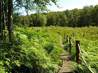 La Tourbière des Froux et son sentier de découverte
