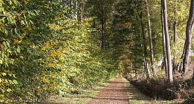 La voie verte "Condé/Alençon"