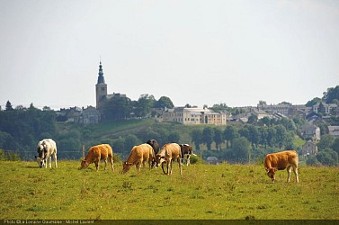 Gallor loop no.16 “In the footsteps of the Gallo-Romans”