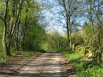 Circuit pédestre "De la croix de Cassini au plateau de Cita" - Vesoul-Val de Saône