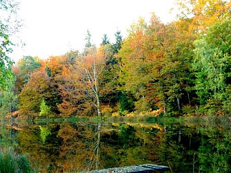 Circuit pédestre de la Mer - Faucogney-et-la-Mer - Vosges du sud