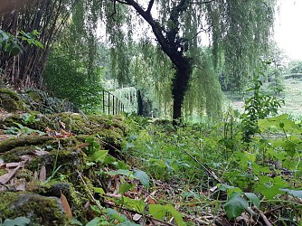 Sur les pas du chasseron - Saint-Génard