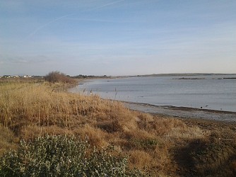 FR-Prendre l'air sur les rives de l'étang de l'Arnel.
