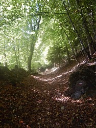 LE COL DE COURET