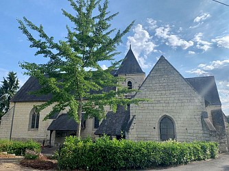 Boucle vélo : Entre Loire et forêt