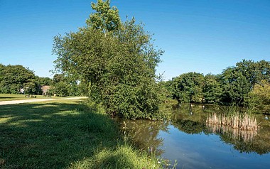 Les 5 Parcs - Vairé