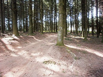 Lamure-sur-Azergues - Forêt départementale de la Pyramide