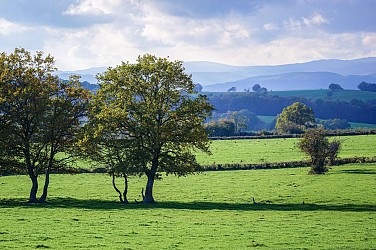 Les Chemins de Collonge