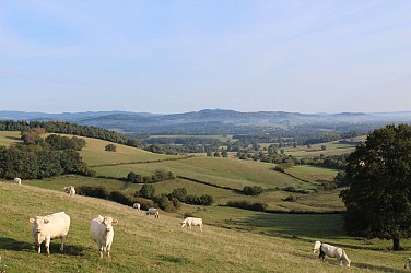 La Vallée de l'Arroux