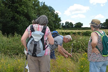 Circuit de Pierre Luzière