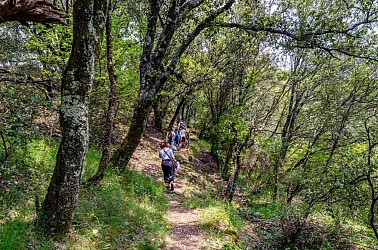 Le Ravin secret de Champernal