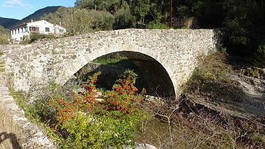 Les Puechs