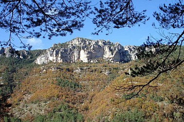 Voyage entre Gorges et Causse, au pays des vautours