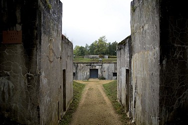 CIRCUIT FFRANDONNÉE N° 81 - La Falouse